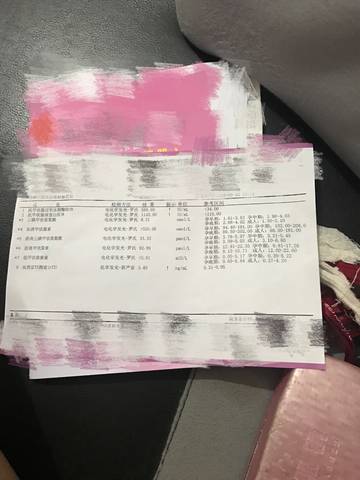 journal_insert_pic_1040811296