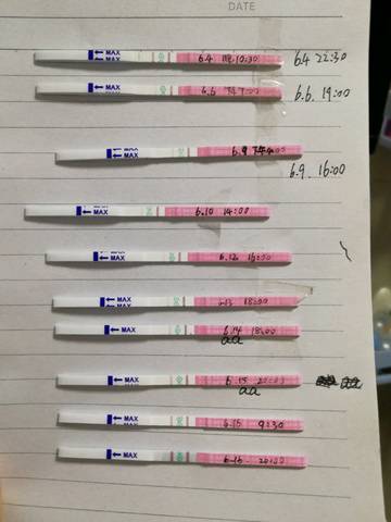 journal_insert_pic_1041169720