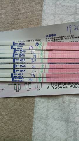 journal_insert_pic_1041429916