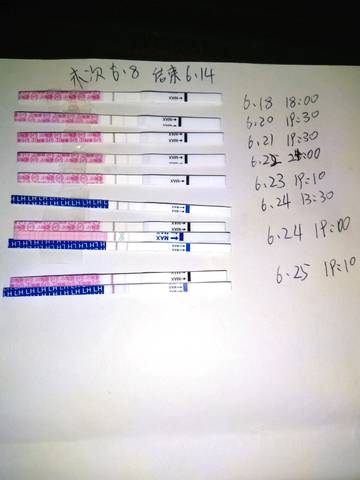 journal_insert_pic_1042272312