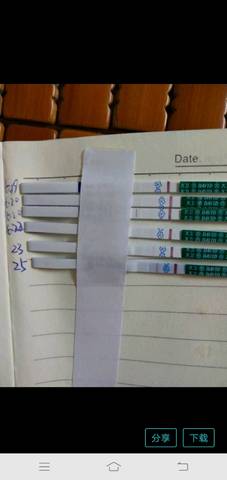 journal_insert_pic_1042615236