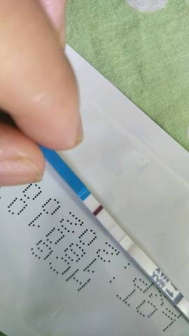 journal_insert_pic_1042570074