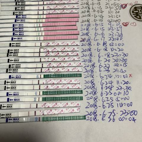 journal_insert_pic_1044006116
