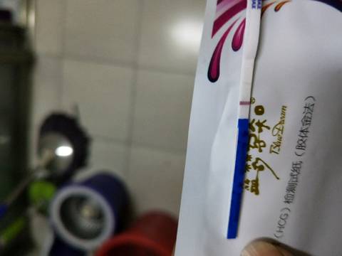 journal_insert_pic_1044521196