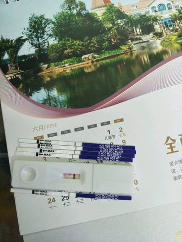 journal_insert_pic_1045908873