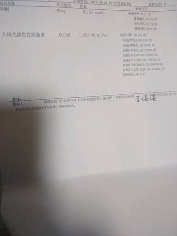 journal_insert_pic_1047425255
