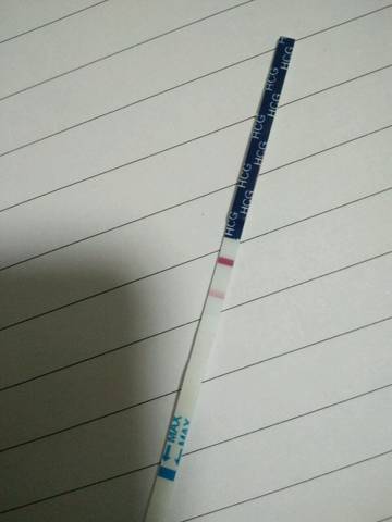 journal_insert_pic_1047750498