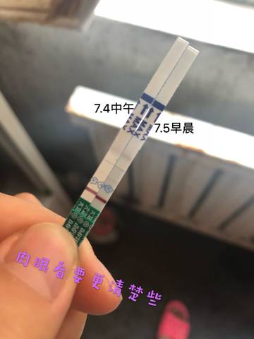 journal_insert_pic_1048331183