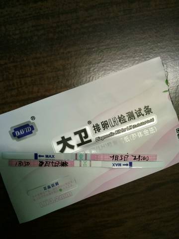 journal_insert_pic_1048752751