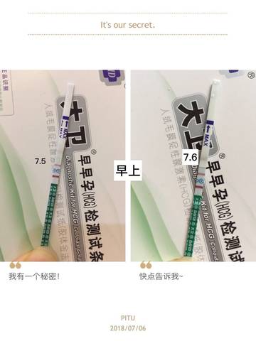 journal_insert_pic_1049388904