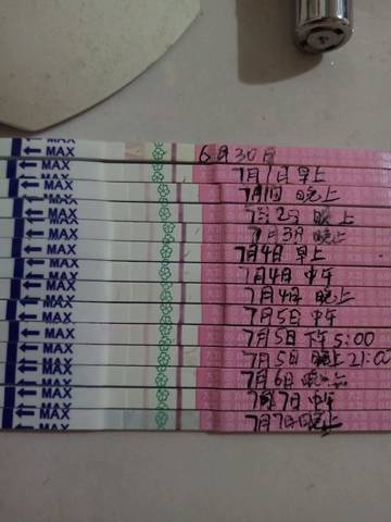 journal_insert_pic_1049976125