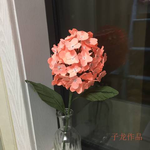 journal_insert_pic_1050545311