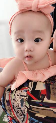 journal_insert_pic_1051101364