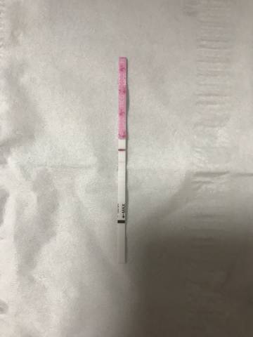 journal_insert_pic_1051486653
