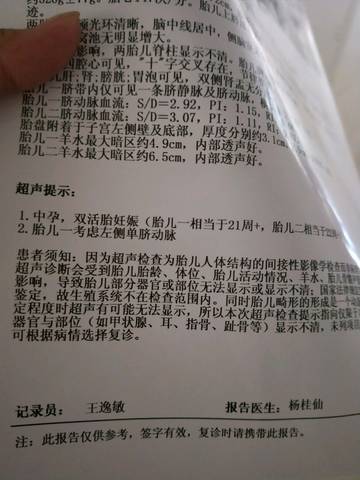 journal_insert_pic_1051080843