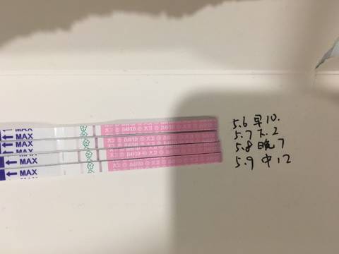 journal_insert_pic_1051109317