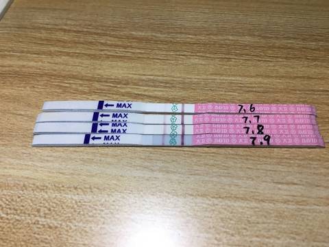 journal_insert_pic_1051469845