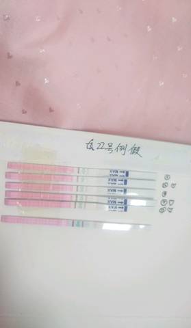 journal_insert_pic_1050994537