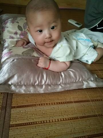 journal_insert_pic_1051615836