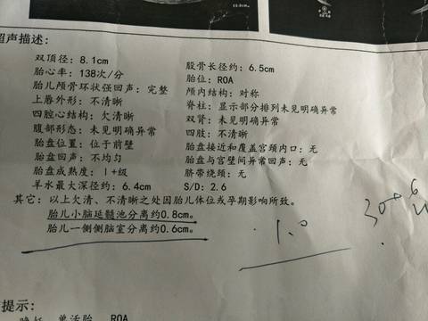 journal_insert_pic_1051865535