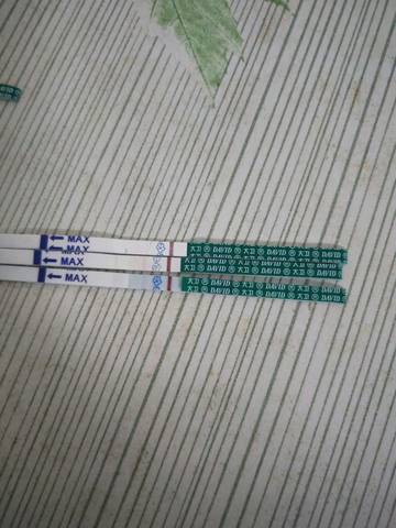 journal_insert_pic_1053813537