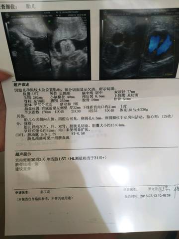 journal_insert_pic_1053735464