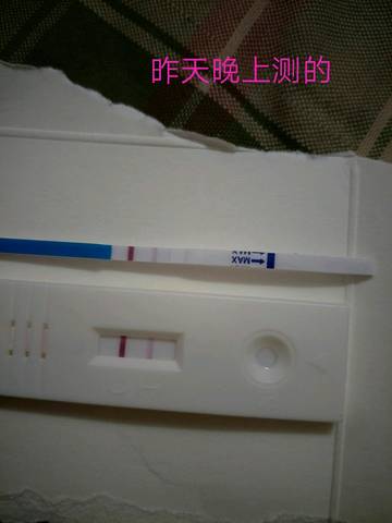 journal_insert_pic_1053420363