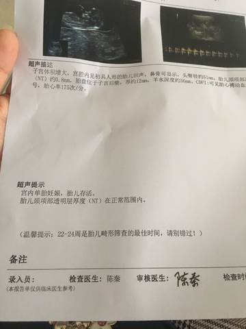 journal_insert_pic_1053479854