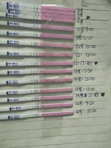 journal_insert_pic_1054435804