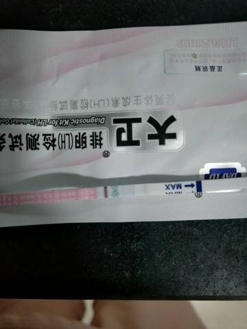 journal_insert_pic_1054443325