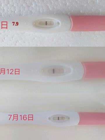 journal_insert_pic_1055599305