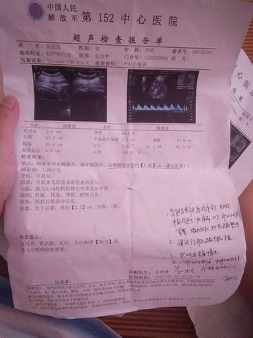 journal_insert_pic_1055556830