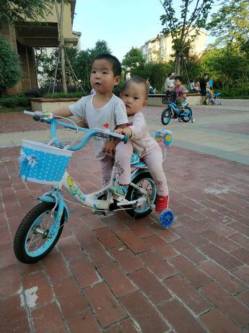 journal_insert_pic_1055455805