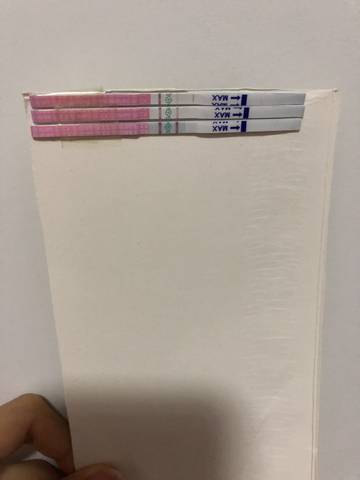 journal_insert_pic_1056507187