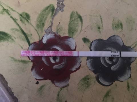 journal_insert_pic_1056471176