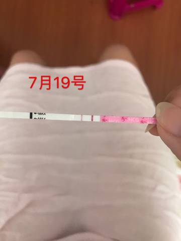 journal_insert_pic_1058302406