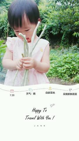 journal_insert_pic_1057834197