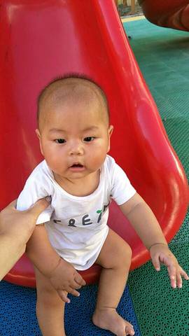 journal_insert_pic_1058620837