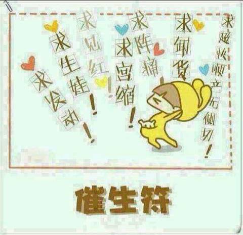journal_insert_pic_1058442130
