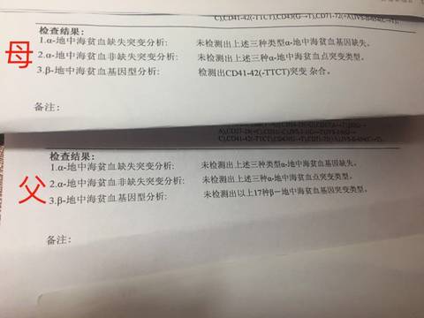 journal_insert_pic_1059051328