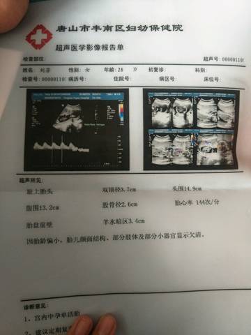 journal_insert_pic_1059860853