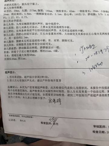 journal_insert_pic_1060443081
