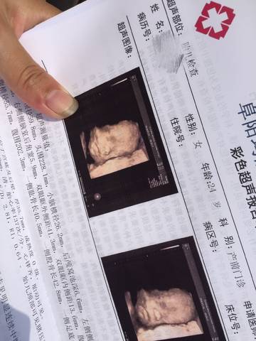journal_insert_pic_1060724608