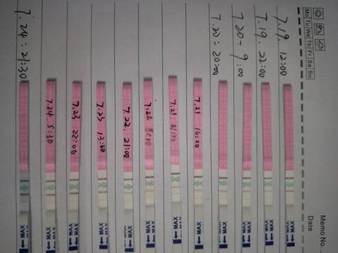 journal_insert_pic_1060811547