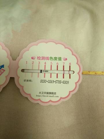 journal_insert_pic_1060826623