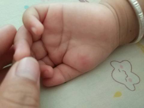 journal_insert_pic_1061118256