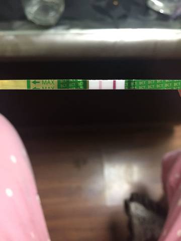 journal_insert_pic_1061038944