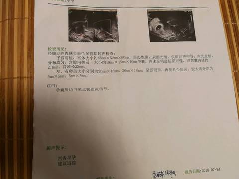 journal_insert_pic_1061640622