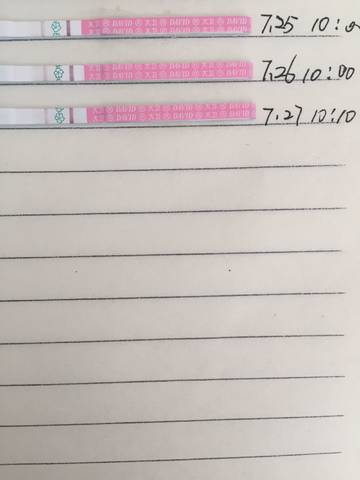 journal_insert_pic_1062371986