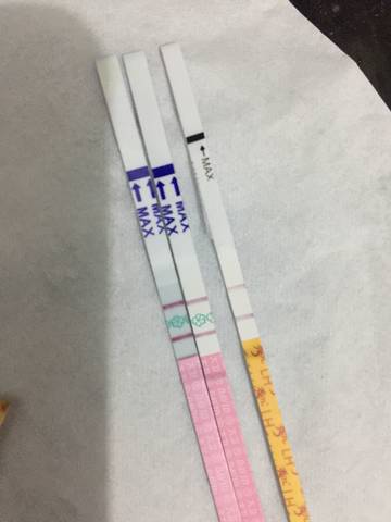 journal_insert_pic_1062623998